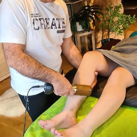 Willis Huette Domek alpejski Zachenberg