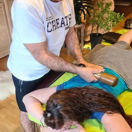 Willis Huette Domek alpejski Zachenberg