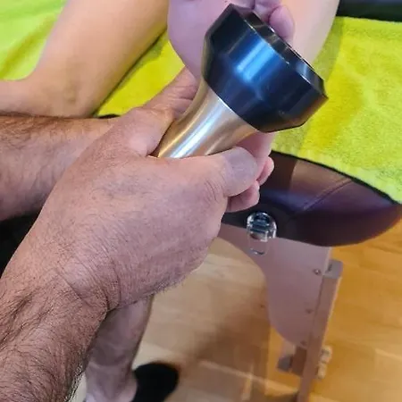 Willis Huette Domek alpejski Zachenberg