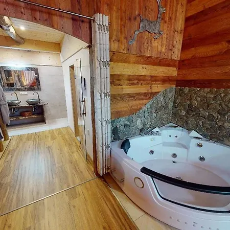 Domek alpejski Willis Huette Zachenberg