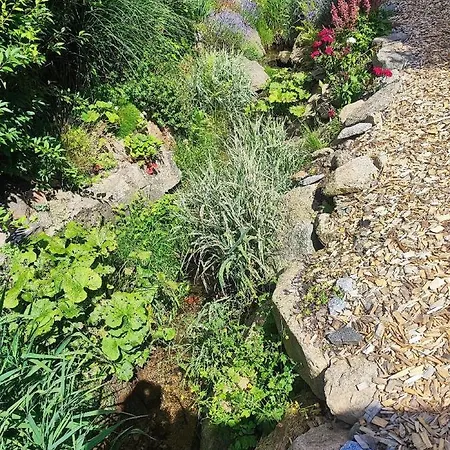 Willis Huette 木屋 Zachenberg