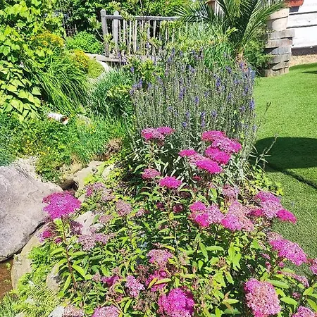 Chalet Willis Hütte Zachenberg