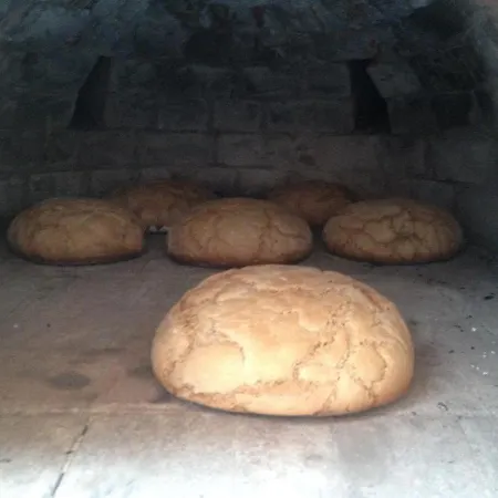 Willis Huette Zachenberg