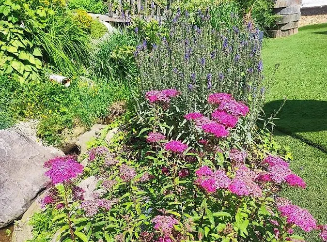 Chalet Willis Huette Zachenberg