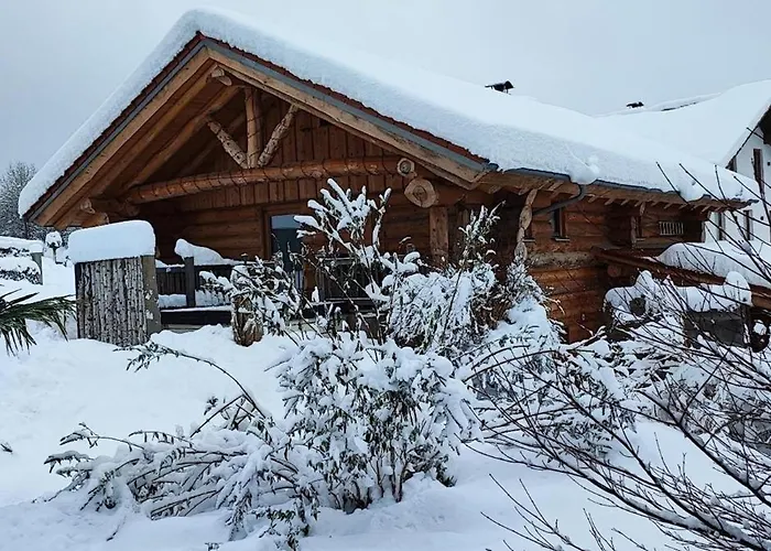 Willis Huette Zachenberg